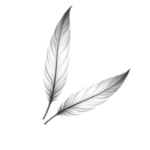 DUOPLUMES Nathalie Poncelet - Sophie Sandront